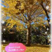 ヒメ日記 2025/11/26 09:58 投稿 桜井絵里子 五十路マダムエクスプレス横浜店（カサブランカグループ）