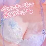 ヒメ日記 2025/11/26 10:00 投稿 桜井絵里子 五十路マダムエクスプレス横浜店（カサブランカグループ）