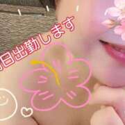 ヒメ日記 2026/01/25 17:04 投稿 桜井絵里子 五十路マダムエクスプレス横浜店（カサブランカグループ）