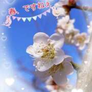 ヒメ日記 2026/02/15 10:18 投稿 桜井絵里子 五十路マダムエクスプレス横浜店（カサブランカグループ）