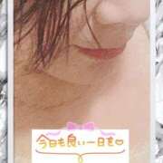 ヒメ日記 2026/02/19 11:06 投稿 桜井絵里子 五十路マダムエクスプレス横浜店（カサブランカグループ）