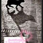 桜井絵里子 あいにくの 五十路マダムエクスプレス横浜店（カサブランカグループ）