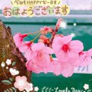 ヒメ日記 2026/04/01 10:52 投稿 桜井絵里子 五十路マダムエクスプレス横浜店（カサブランカグループ）