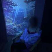 ヒメ日記 2025/03/30 02:43 投稿 木下（きのした） 熟女の風俗最終章 大宮店