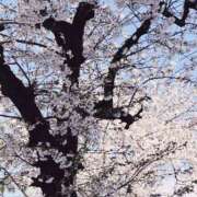 ヒメ日記 2025/04/04 21:29 投稿 木下（きのした） 熟女の風俗最終章 大宮店