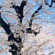 ヒメ日記 2025/04/05 13:18 投稿 木下（きのした） 熟女の風俗最終章 大宮店