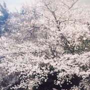 ヒメ日記 2025/04/06 00:39 投稿 木下（きのした） 熟女の風俗最終章 大宮店