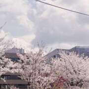 ヒメ日記 2025/04/09 01:19 投稿 木下（きのした） 熟女の風俗最終章 大宮店