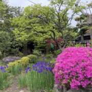 ヒメ日記 2025/04/27 03:15 投稿 木下（きのした） 熟女の風俗最終章 大宮店