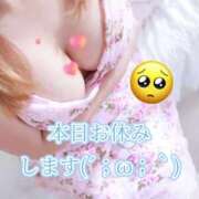 ヒメ日記 2025/06/06 12:46 投稿 こころ 新潟市鳥屋野潟ちゃんこ