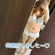 ヒメ日記 2025/06/28 15:46 投稿 こころ 新潟市鳥屋野潟ちゃんこ