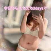 ヒメ日記 2025/11/21 07:20 投稿 こころ 新潟市鳥屋野潟ちゃんこ