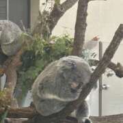 ヒメ日記 2025/04/20 18:15 投稿 れな New Sky