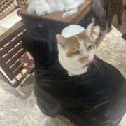 ヒメ日記 2025/11/04 16:39 投稿 れな New Sky