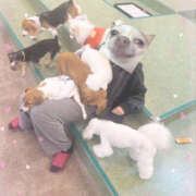 ヒメ日記 2025/11/06 16:17 投稿 れな New Sky