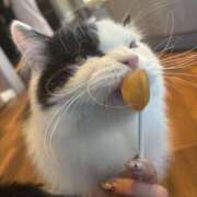 ヒメ日記 2026/03/10 22:53 投稿 れな New Sky