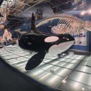 ヒメ日記 2026/04/26 18:10 投稿 れな New Sky