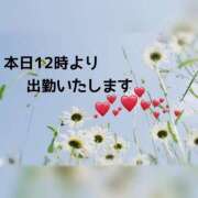 ヒメ日記 2025/08/22 11:35 投稿 いずみ 完熟ばなな新宿