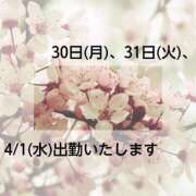 いずみ こんにちは！ 完熟ばなな新宿