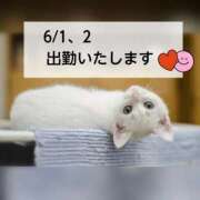 ヒメ日記 2026/05/31 21:15 投稿 いずみ 完熟ばなな新宿