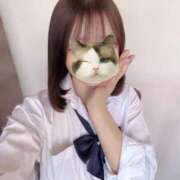 ヒメ日記 2025/06/06 08:51 投稿 こひな 秋葉原ハンドメイド