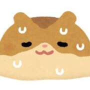 ヒメ日記 2025/08/04 11:10 投稿 こひな 秋葉原ハンドメイド