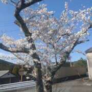 ヒメ日記 2025/04/10 16:33 投稿 あい(昭和53年生まれ) 熟年カップル名古屋～生電話からの営み～