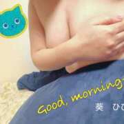 ヒメ日記 2025/04/28 16:22 投稿 葵 ひびき こあくまな熟女たち 本厚木店(KOAKUMAグループ)