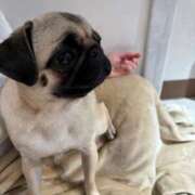 ヒメ日記 2025/12/12 22:37 投稿 あむ 黒い金魚（札幌）