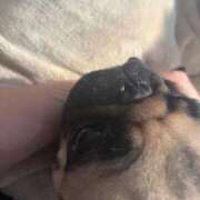 ヒメ日記 2026/01/14 10:10 投稿 あむ 黒い金魚（札幌）