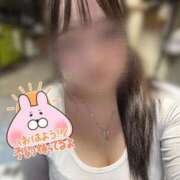 ヒメ日記 2025/04/01 11:17 投稿 ひめの One More 奥様　錦糸町店