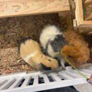 ヒメ日記 2025/04/15 12:04 投稿 ひめの One More 奥様　錦糸町店