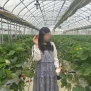 ヒメ日記 2025/04/21 12:05 投稿 ひめの One More 奥様　錦糸町店