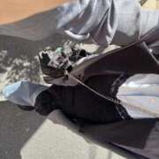 ヒメ日記 2025/12/01 19:13 投稿 ひめの One More 奥様　錦糸町店