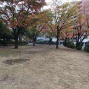 ヒメ日記 2025/03/11 10:42 投稿 ここあ エマニエル