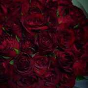 ヒメ日記 2025/03/16 02:28 投稿 ロゼ 錦糸町人妻セレブリティ（ユメオト）