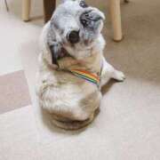 ヒメ日記 2025/03/23 15:00 投稿 ロゼ 錦糸町人妻セレブリティ（ユメオト）