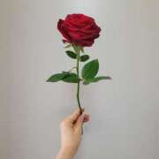 ヒメ日記 2025/03/31 19:00 投稿 ロゼ 錦糸町人妻セレブリティ（ユメオト）