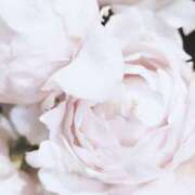 ヒメ日記 2025/04/09 17:00 投稿 ロゼ 錦糸町人妻セレブリティ（ユメオト）