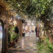 ヒメ日記 2025/04/11 12:00 投稿 ロゼ 錦糸町人妻セレブリティ（ユメオト）