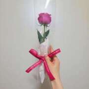 ヒメ日記 2025/04/15 07:00 投稿 ロゼ 錦糸町人妻セレブリティ（ユメオト）