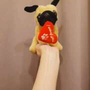 ヒメ日記 2025/04/18 12:00 投稿 ロゼ 錦糸町人妻セレブリティ（ユメオト）