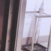 ヒメ日記 2025/07/13 02:07 投稿 ロゼ 錦糸町人妻セレブリティ（ユメオト）