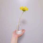 ヒメ日記 2025/08/01 05:20 投稿 ロゼ 錦糸町人妻セレブリティ（ユメオト）