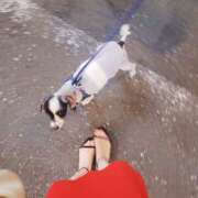 ヒメ日記 2025/10/15 23:25 投稿 ロゼ 錦糸町人妻セレブリティ（ユメオト）