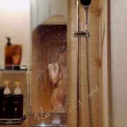 ヒメ日記 2025/11/05 05:30 投稿 ロゼ 錦糸町人妻セレブリティ（ユメオト）