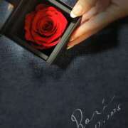 ヒメ日記 2025/11/12 05:32 投稿 ロゼ 錦糸町人妻セレブリティ（ユメオト）