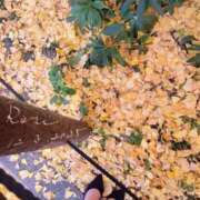 ヒメ日記 2025/12/03 12:10 投稿 ロゼ 錦糸町人妻セレブリティ（ユメオト）