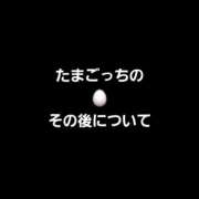 ヒメ日記 2026/03/28 19:47 投稿 ロゼ 錦糸町人妻セレブリティ（ユメオト）