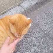 ヒメ日記 2026/04/02 15:06 投稿 ロゼ 錦糸町人妻セレブリティ（ユメオト）